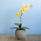 Arranjo De Orquídea Amarela De Silicone No Vaso Fendi | Formo